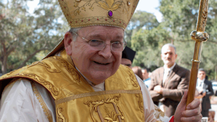 On Cardinal Burke and Hobbits